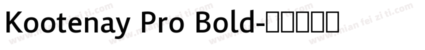 Kootenay Pro Bold字体转换